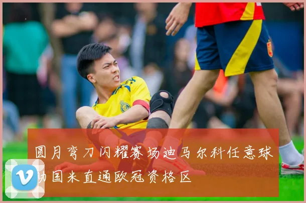 圆月弯刀闪耀赛场迪马尔科任意球助国米直通欧冠资格区